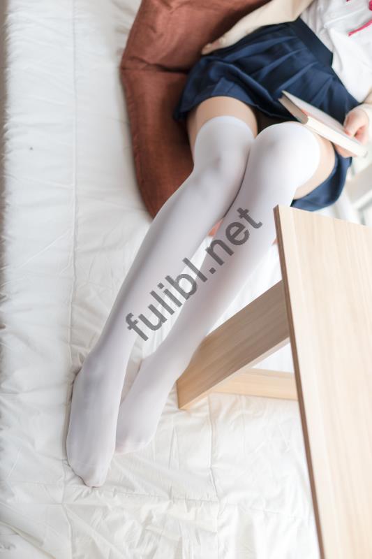 fulibl.net (21)